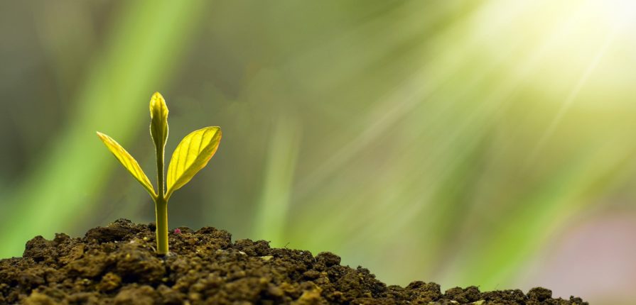 green_economy