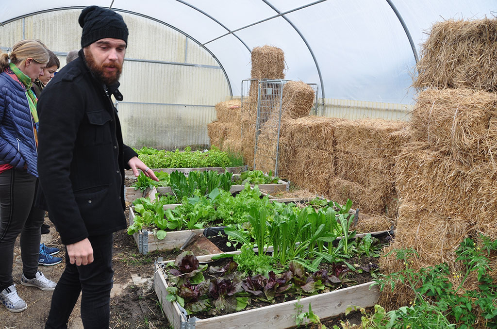 agriculture_nature